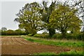 Morley: Ploughed field in NR18 9DD