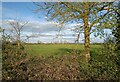 Field off Ebdon Lane in Wick St. Lawrence & St. Georges Ward