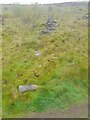 Remains of Dry-Stone Wall in CF43 4NG