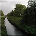 The River Tame seen from Crankhall Lane bridge, Wednesbury in WS10 0RT
