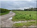 Farm road leading in a Z shape to the village of Wellbank, north of Dundee in DD5 3QF