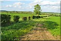 Fields by the byway up to Beauchamps in SG9 0FA