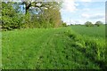 Footpath by the stream in SG9 0EU