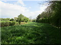 Bridleway to Uppingham Road in Stoke Dry