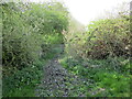 Mud before a gate near Stoke Dry in Stoke Dry