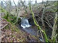 Wee Waterfall at Goldie Knoll in DG3 5EH