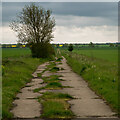 Footpath in former Sudbury Airfield, Acton in CO10 1AT