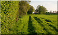Footpath on Field Boundary, Thorpe Green in IP30 0NT