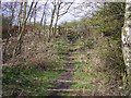 Footpath on Trackbed of ex Great Central Railway in WA3 2GP