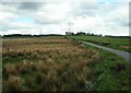 Grassland beside Harelaw Road in KA3 5JZ