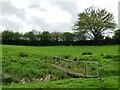 Footbridge over a ditch, near Egerton in ME17 2BX