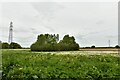 Honingham: Power line in NR9 5AT