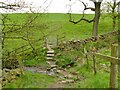 Footpath crossing the Holbeck in LS21 2HD