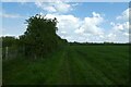Footpath along a field edge in YO26 8LA