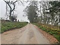 Craigievar approach road in AB33 8JL