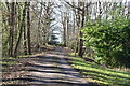 Track from Warren Farm in TN22 4PY