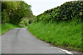 Hoe: Hoe Road in Hoe and Worthing