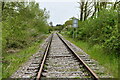 Hoe: Railway track northwards at the level crossing in NR20 5HH