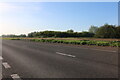 The A1 Foston Bypass in NG32 2JT