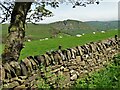 Chrome Hill from Hollinsclough Rake in SK17 0RD