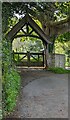 Towards the lychgate, Upton Bishop, Herefordshire in HR9 7UE