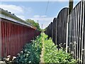 Footpath between the fences in DE7 6FZ