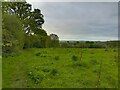 Footpath towards Back Lane in RG17 9SP