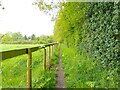 Footpath towards Fox Hill in RG17 9QD