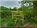 Redundant stile on public footpath in RG17 9QT