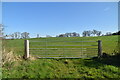 Gate by Roundgreen Lane in TN17 2ND