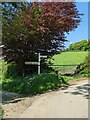 Signpost on the track to Polmena in PL22 0LF