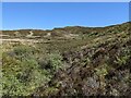 The upper valley of the Allt Poll a' Bhainne in IV49 9AT