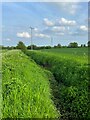 Ditch with a River Stort tributary in CB11 4PG