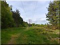 Pylons through Newtown Common in RG20 9BG