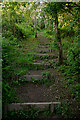 Steps in the Yeo Valley Woodland in EX32 8AN