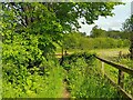 Adbury Farm footpath in RG20 4HD