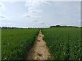 Adbury Farm footpath in RG20 4AE
