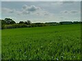 Adbury Farm field in RG20 4AE
