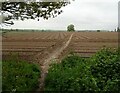 Footpath over field to Red House in IP2 0ST