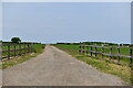 Billingford: Farm track in NR20 4RH