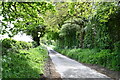 Billingford: Bintree Road in Billingford