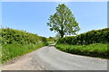 Bintree: Stone Lane in NR20 5NY