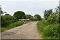 Worthing: Farm track in NR20 5HH