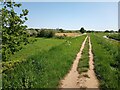 Footpath alongside fields in Swanpool, Lincoln in Boultham Ward