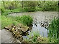 The Tarn in Parcevall Hall Gardens. in BD23 6DE