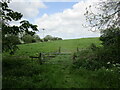 Gates and grassland near Brook Farm in LN9 6JX