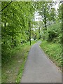 Path in University of Stirling in FK9 4NF
