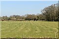 Pasture, Pristling Lane in TN12 0HA