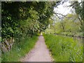 Towing path by Kennet and Avon Canal in RG19 3YS