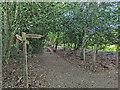Footpath junction east of Furnace Pond in RH10 3HA